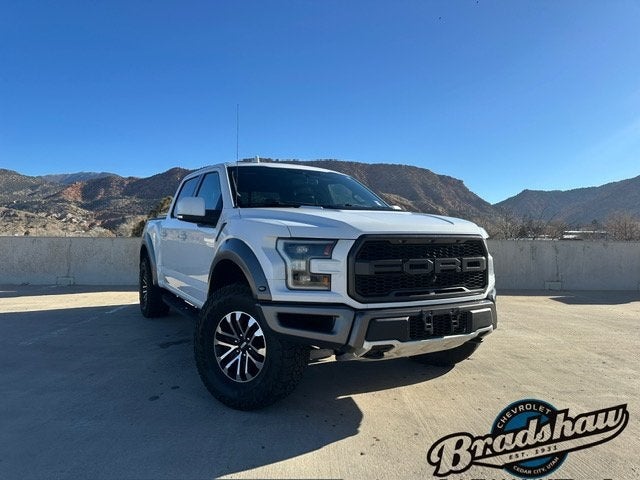 2019 Ford F-150 Raptor LUXURY Package