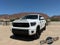 2019 Toyota Tundra TRD Pro