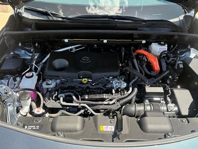 2024 Toyota Venza LE